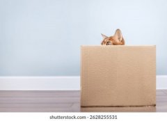 <b>包装材料批量供货服务</b>